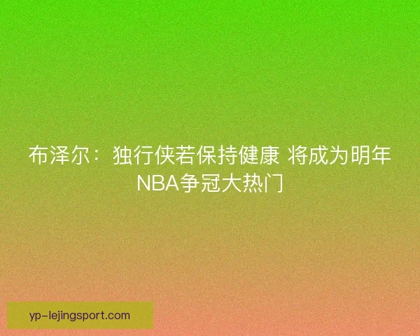 布泽尔:独行侠若保持健康 将成为明年NBA争冠大热门 布泽尔:独行侠若保持健康 将成为明年NBA争冠大热门