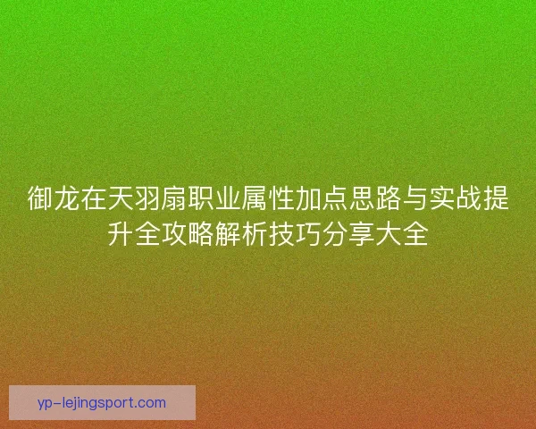 御龙在天羽扇职业属性加点思路与实战提升全攻略解析技巧分享大全